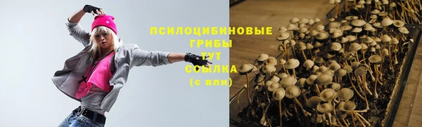 марки lsd Елабуга