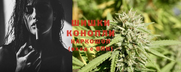 прущие крисы Елизово
