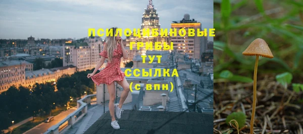 бошки Кущёвская