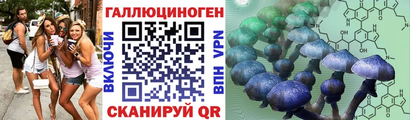 Псилоцибиновые грибы Psilocybe  где можно купить   Хасавюрт 