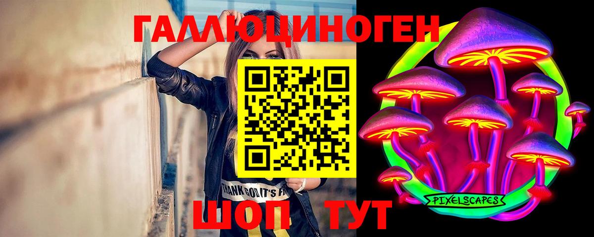 Галлюциногенные грибы Psilocybine cubensis  Вход с VPN  Хасавюрт 