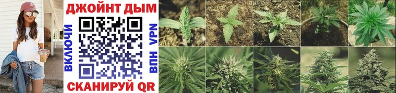Шишки марихуана OG Kush  Хасавюрт 