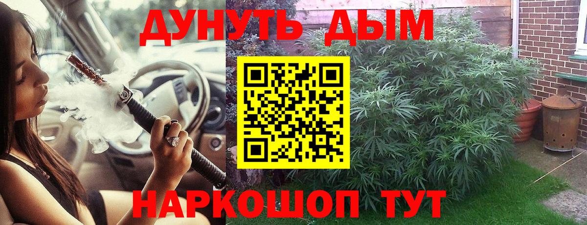 Конопля AK-47 Хасавюрт